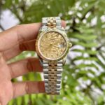 Đồng Hồ Rolex DateJust Bọc Vàng 18K Mặt Lá Cọ GM 36mm (1)