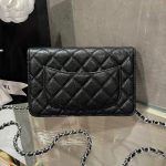 Túi Đeo Chéo Chanel Caviar Tiny CC Wallet on Chain WOC Khóa Bạc 19cm (1)