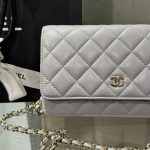 Túi Đeo Chéo Chanel Caviar Tiny CC Wallet on Chain WOC Màu Xám 19cm (2)