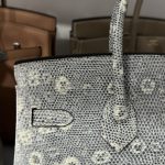 Túi Xách Hermes Birkin Nữ Da Thằn Lằn Khoá Vàng 25cm (2)