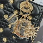 Túi Xách Dior Lady Like Auth Nữ Màu Đen Hoạ Tiết Ông Mặt Trời 20cm (2)