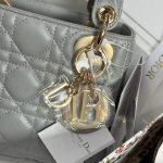 Túi Xách Dior Lady Like Auth Nữ Màu Xám Khoá Vàng 17cm (2)