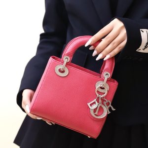 Túi Xách Dior Lady Nữ Da Thằn Lằn Màu Hồng Cận Auth 17cm (2)