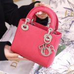 Túi Xách Dior Lady Nữ Da Thằn Lằn Màu Hồng Cận Auth 17cm (2)