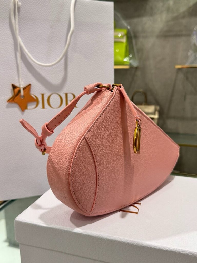 Túi Xách Hàng Hiệu Dior Saddle Nữ Da Bò Màu Hồng 20x15x4cm (2)