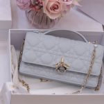 Túi Xách Nữ Siêu Cấp Dior Woc Màu Xám Khoá Mạ Vàng Hồng 21x11.5x4 (2)