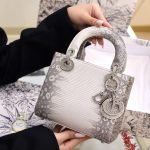 Túi Xách Replica 11 Dior Lady Nữ Da Thằn Lằn 17cm (2)