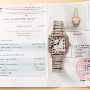 Đồng Hồ Cartier Santos Nữ Chế Tác Full Kim Cương Moissanite Hong Kong 35mm (2)