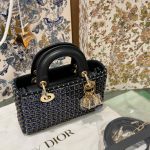 Túi Xách Dior Lady D-Joy Siêu Cấp Nữ Hoạ Tiết Đính Cườm 16 (2)