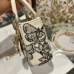 Túi Xách Dior Micro Lady Siêu Cấp Hoạ Tiết Butterfly 12cm (2)