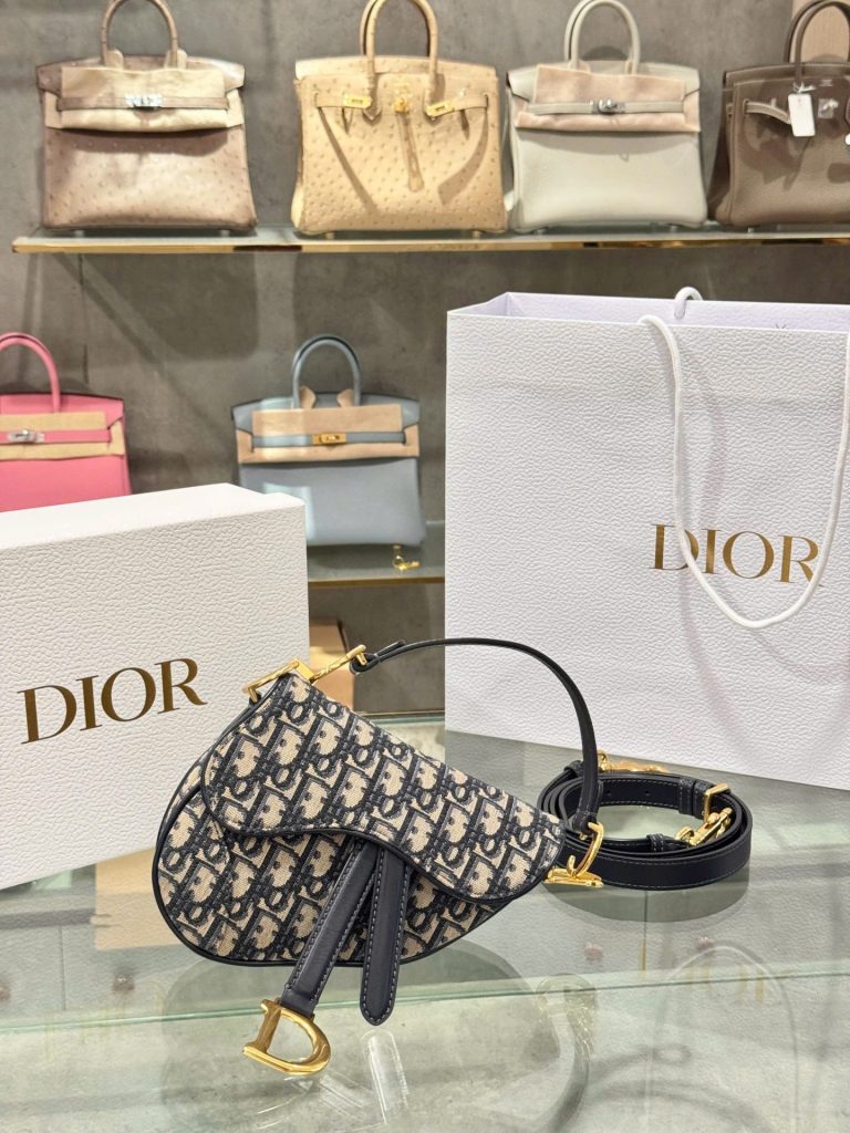 Túi Xách Dior Saddle Siêu Cấp Hoạ Tiết Dior Khoá Vàng 21x18x5cm (2)