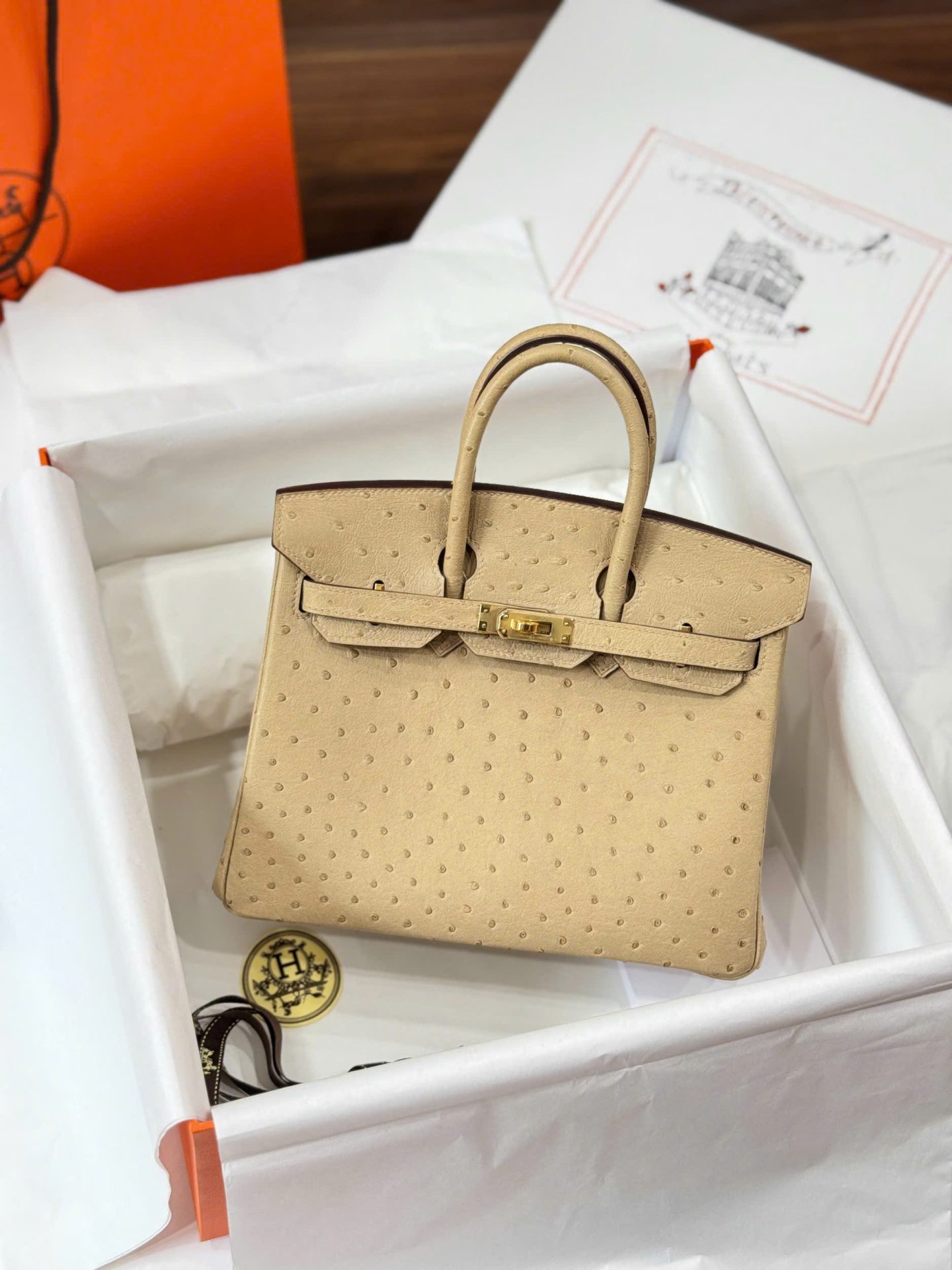 Túi Xách Hermes Birkin Cận Auth Da Đà Điểu Màu Be Khoá Vàng 25cm (2)