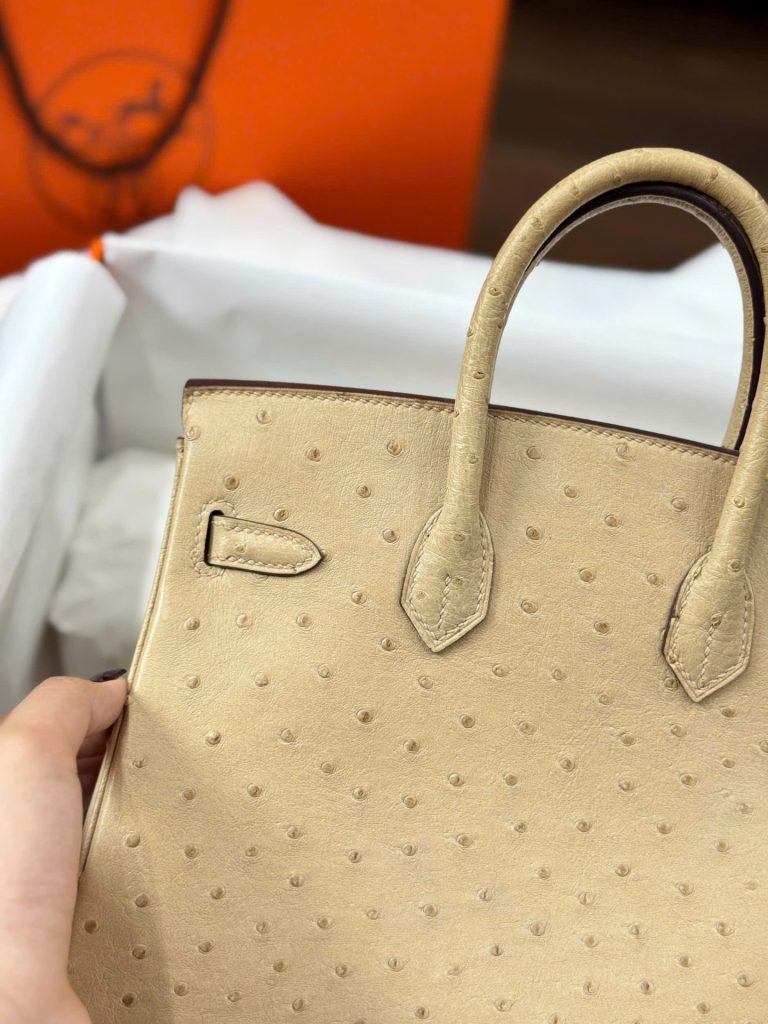 Túi Xách Hermes Birkin Cận Auth Da Đà Điểu Màu Be Khoá Vàng 25cm (2)