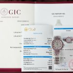Đồng Hồ Patek Philippe Replica 11 Nautilus Haute Joaillerie 7118 Độ Full Moissanite 35 (2)