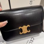 Túi Xách Nữ Celine Triomphe Siêu Cấp Da Trơn Màu Đen 22.5x16.5x7 (2)