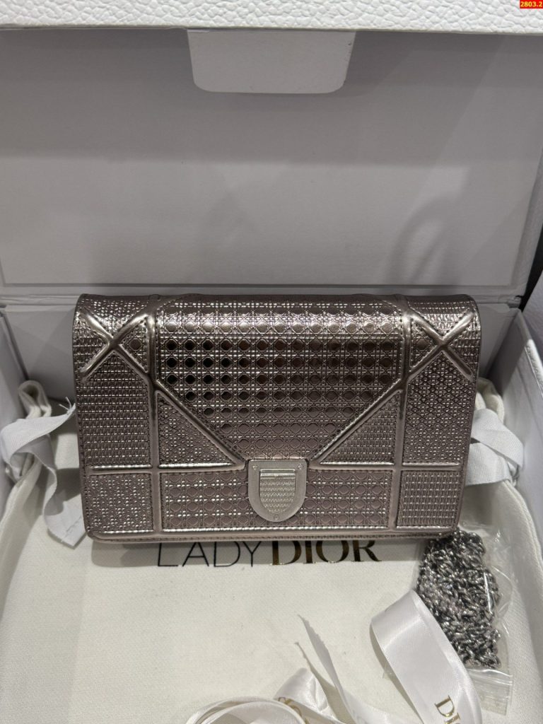 Túi Xách Nữ Dior Woc Màu Bạc Siêu Cấp 19cm (2)