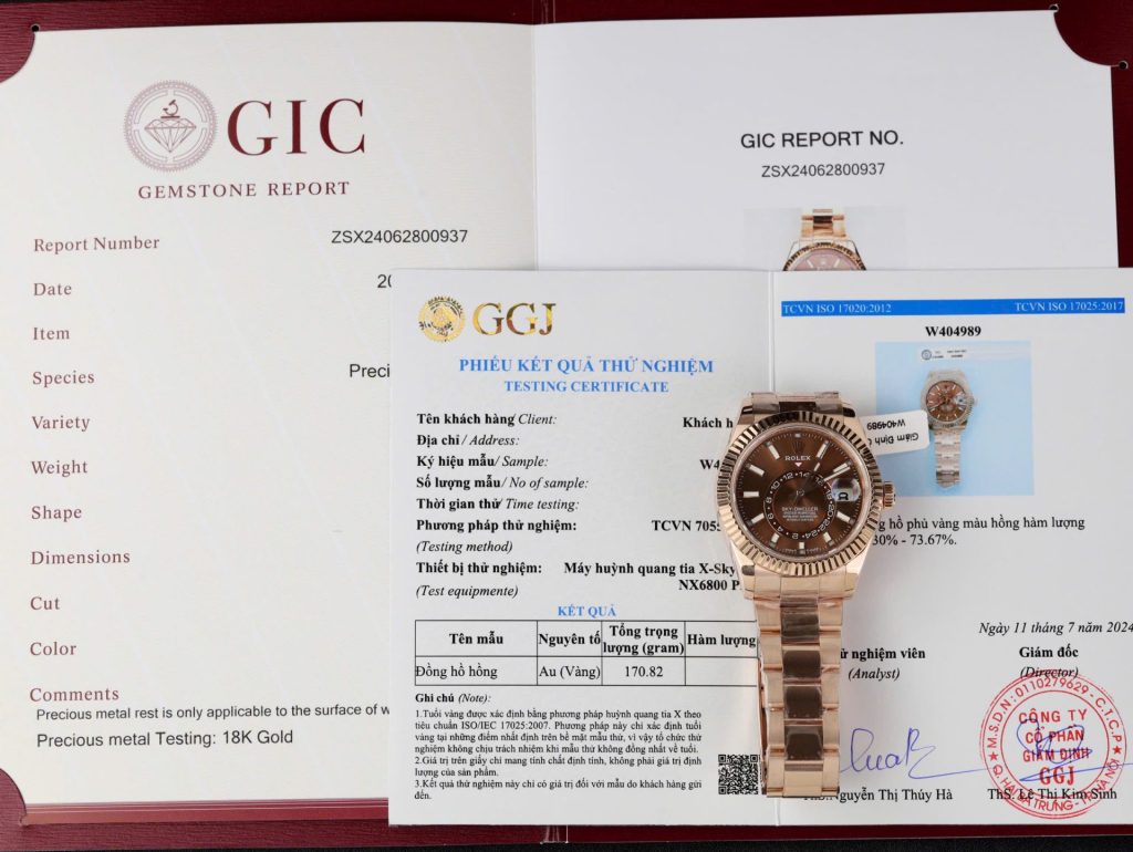 Đồng Hồ Rolex Sky-Dweller Chế Tác Bọc Vàng Thật Mặt Số Chocolate 42mm (2)