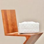 Túi Xách Chanel Jennie Like Auth Màu Trắng Dáng Hobo 26cm (2)
