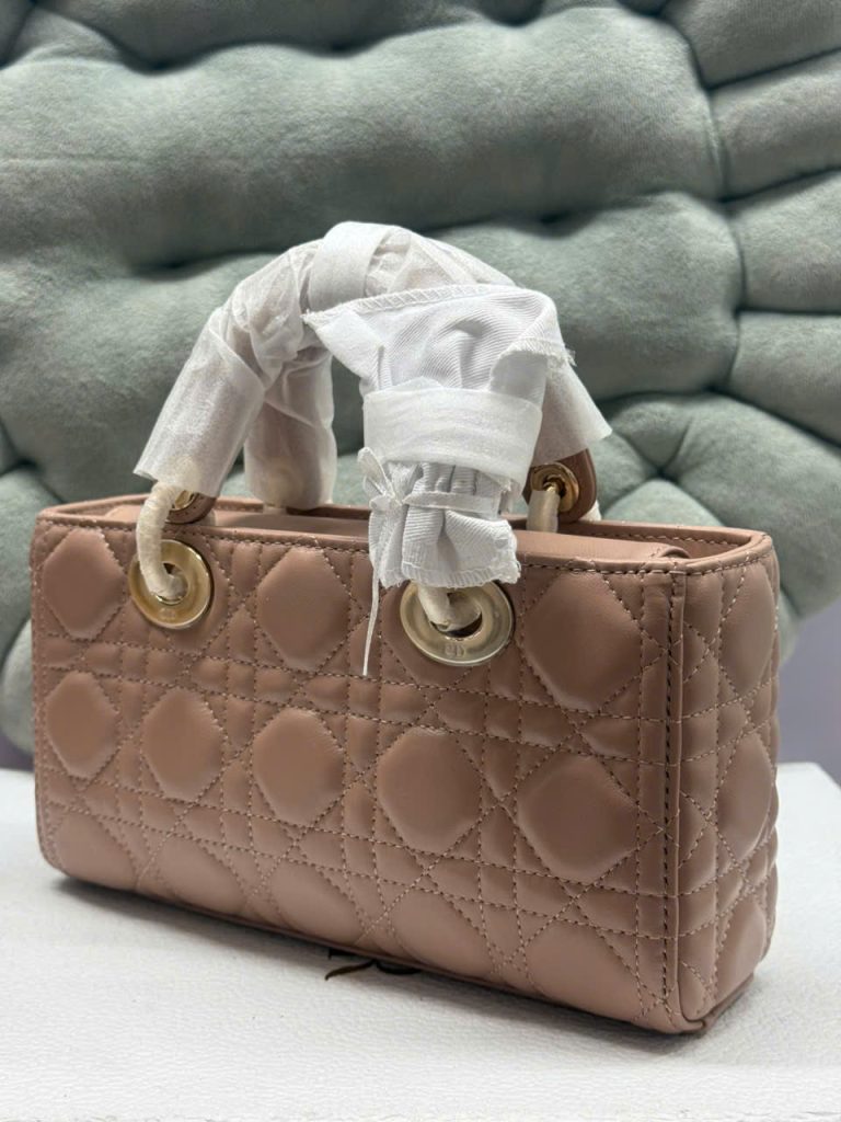 Túi Xách Nữ Dior Lady D-Joy Siêu Cấp Màu Hồng Nhạt Khóa Vàng 22cm (2)