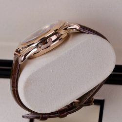 Đồng Hồ Patek Philippe Complications 5905R Replica 11 Mặt Nâu Máy Cơ Thụy Sỹ 42mm (2)